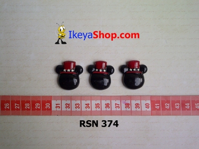 rsn 374  large2